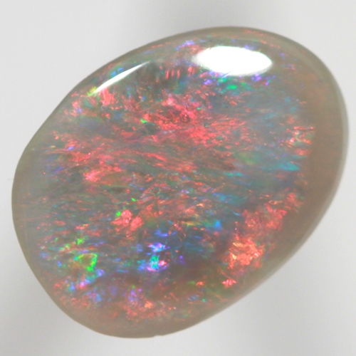 SOLID SEMI BLACK OPAL Brigh reds over blues SEE VIDEO